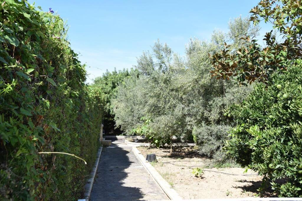 Casa Rural " La Bruja " Segorbe Exteriér fotografie
